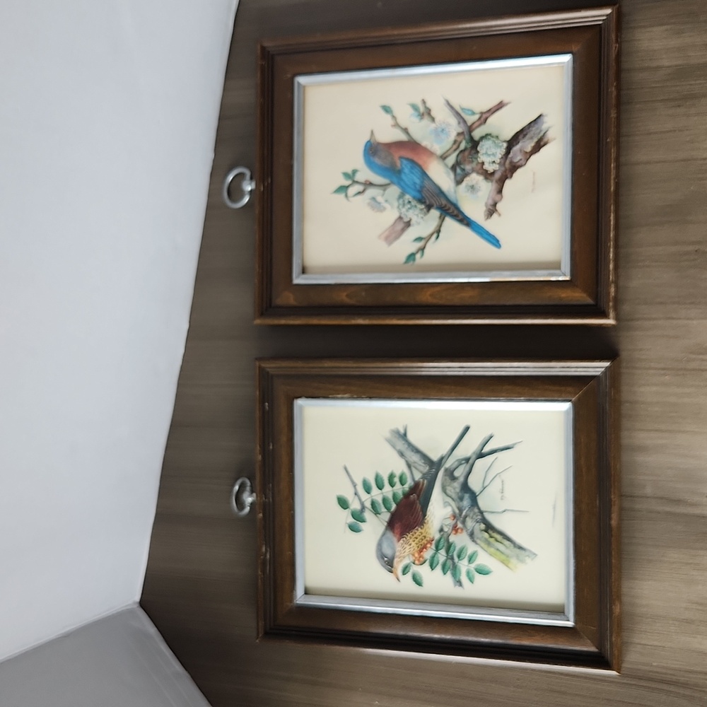 Vintage Ph. Gonner Framed Bird Prints Set of 2